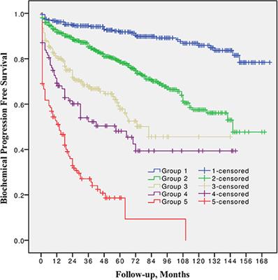 Impact of the 2014 International Society of Urological Pathology Grading System on Concept of High-Risk Prostate Cancer: Comparison of Long-Term Oncological Outcomes in Patients Undergoing Radical Prostatectomy